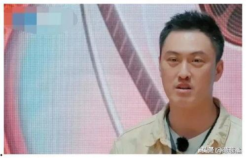 娱乐圈吃瓜爆料天王是谁,揭秘幕后真相与幕后黑手